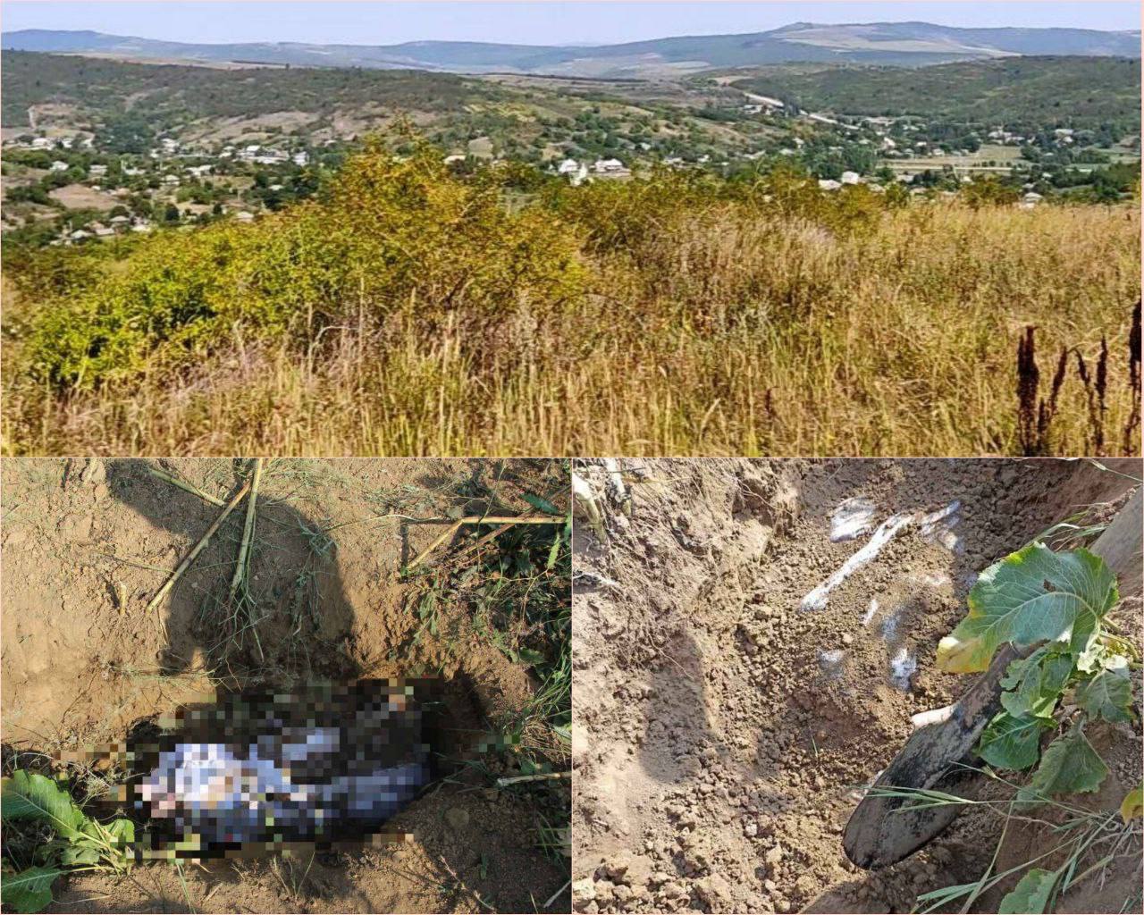 Убийство в Унгенах